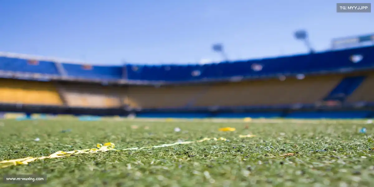 五星体育直播——🏊‍泳池破浪，速度称王！